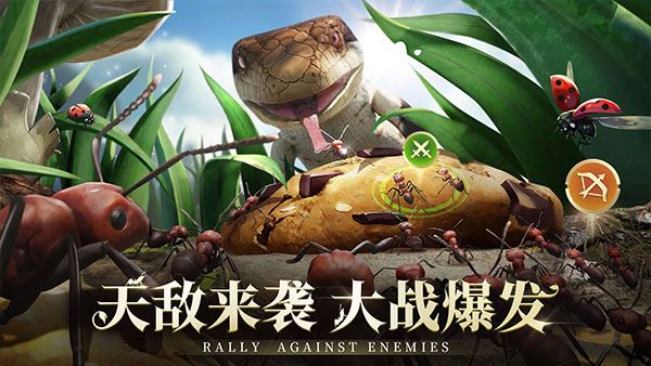 小小蚁国国际服截图5