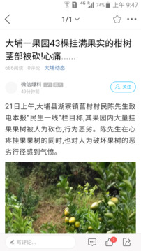 大埔网截图4