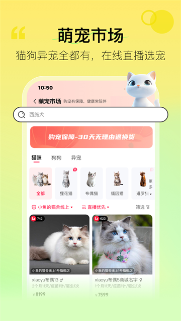 宠胖胖截图1