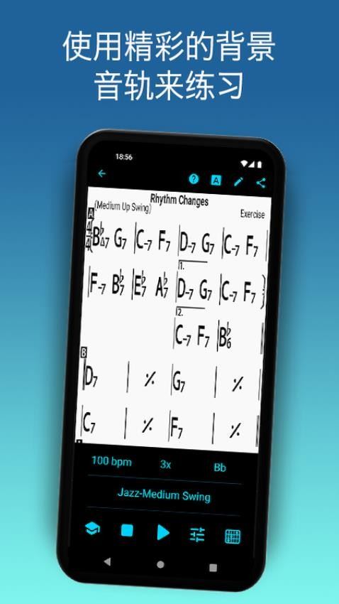 irealpro截图1