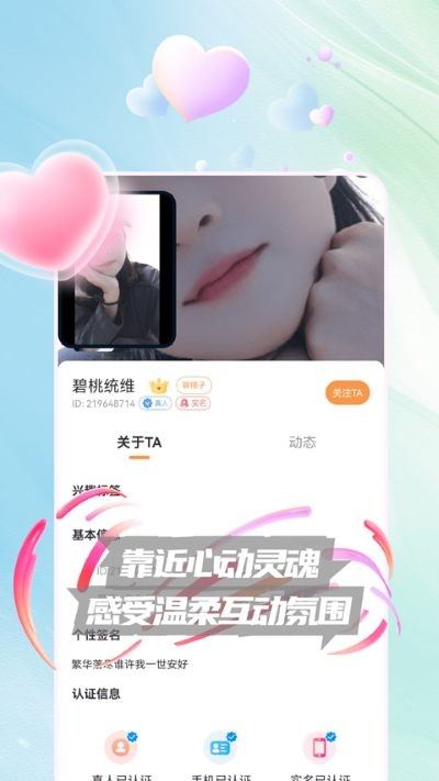 zono截图4
