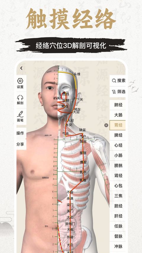 知源经络穴位截图4
