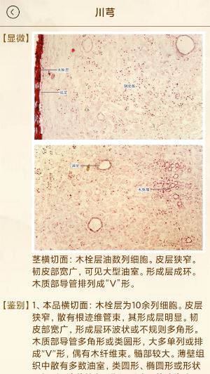 中医方歌截图4