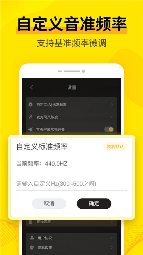 调音器Cat截图2