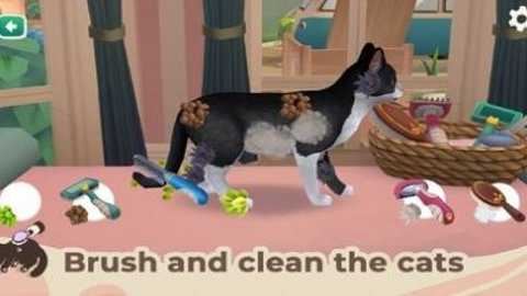 猫咪救援故事截图1