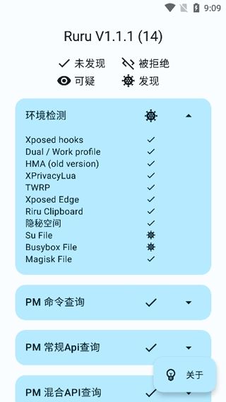 ruru环境检测截图2