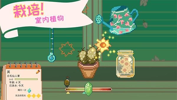 窗边花园截图5