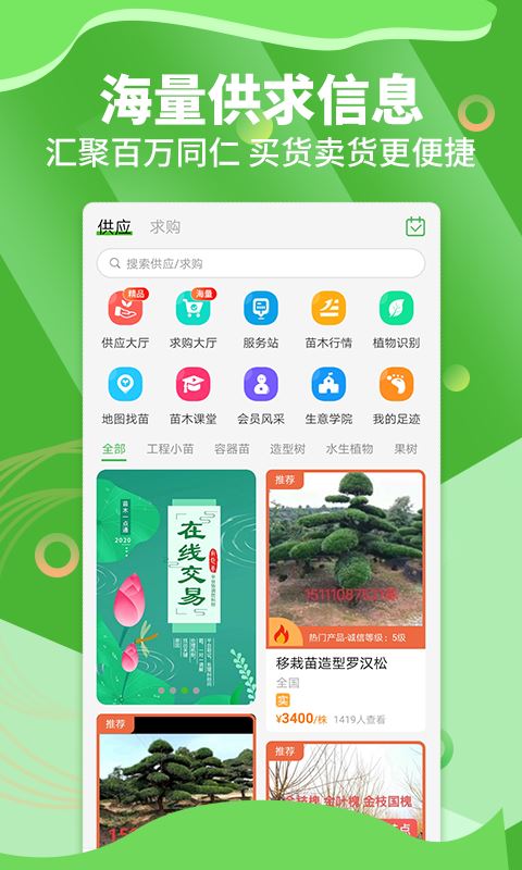 苗木通截图1