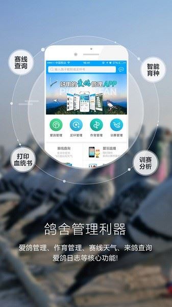 爱鸽者截图2