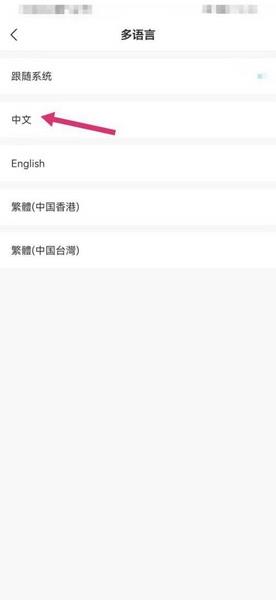 语言切换教程配图4