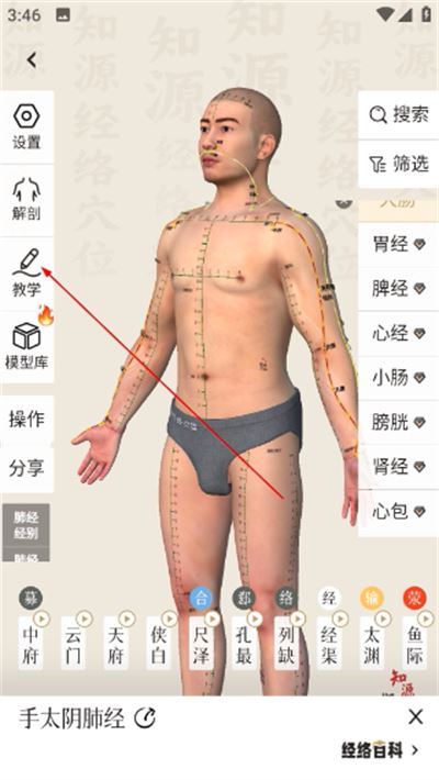 中济经络穴位免费版(知源经络穴位) 中济经络穴位免费版(知源经络穴位)