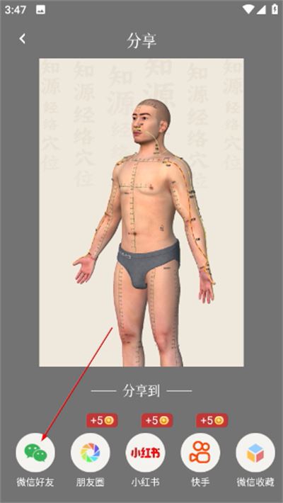 中济经络穴位免费版(知源经络穴位) 中济经络穴位免费版(知源经络穴位)