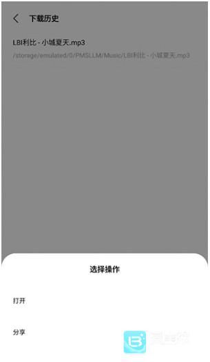 歌词适配官方正版使用方式-4
