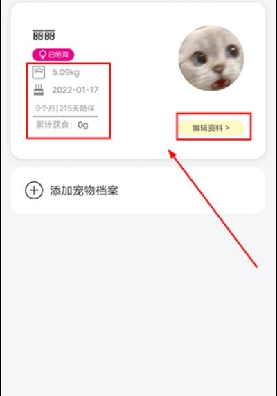 友猫 友猫
