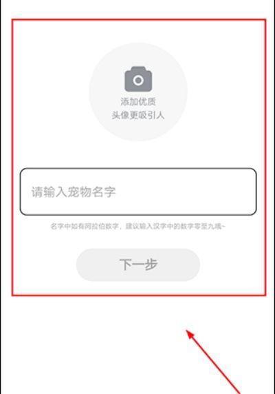 友猫 友猫