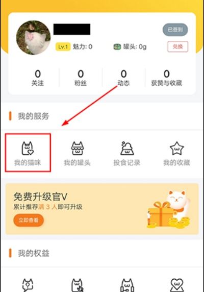 友猫 友猫