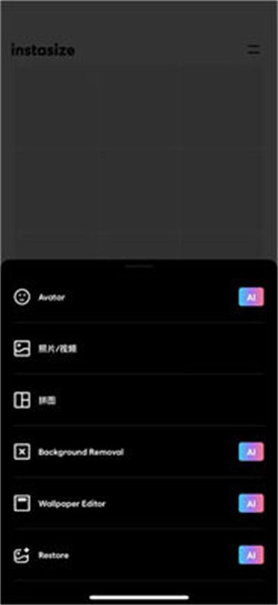 Instasize修图神器最新
